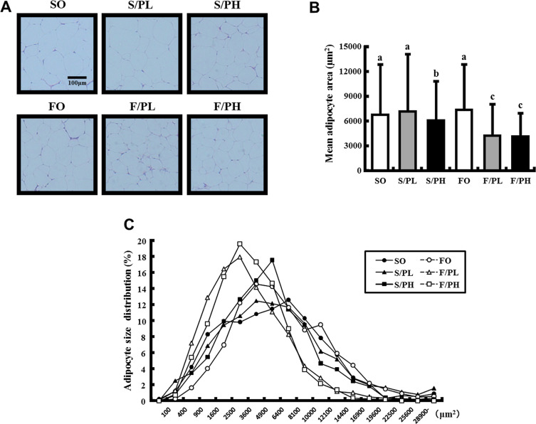 WAT histological sections, mean adipocyte areas, and cell size distributions in ...