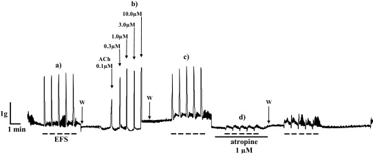 Fig. 9