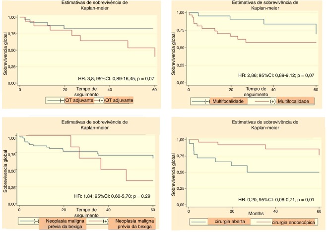 Análise de sobrevivência para determinação de variáveis clínicas, patológicas e ...