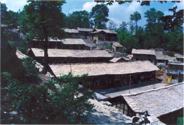 Full-size image (51 K)