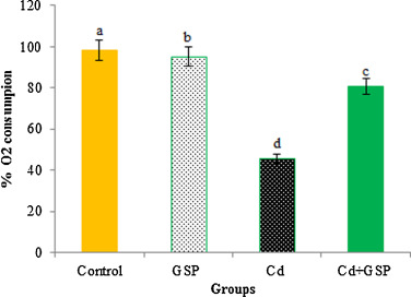 Effects of GSP treatment on Cd-induced changes on complex I mediated oxygen ...