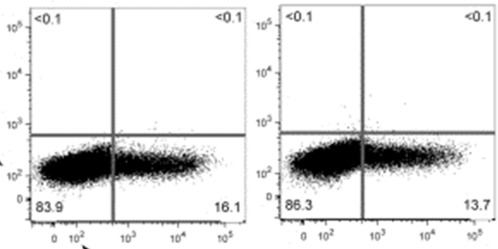 In PBMC and LPMC, IL23R is highly increased in Group II. IL = interleukin; ...