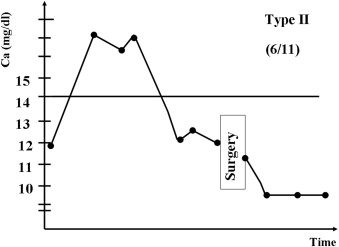 Schematic representation of clinical course type II—partial medical response.