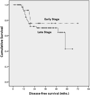 Kaplan–Meier analysis on disease-free survival by stage.