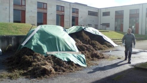 Draft Compuestos 598303311-image10.jpeg