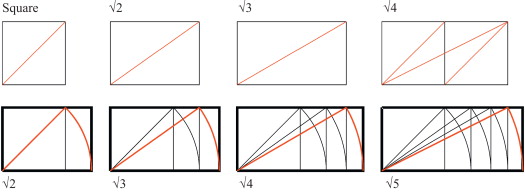 The root proportions based on the square.