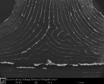 Justo et al 2017a-image16.png