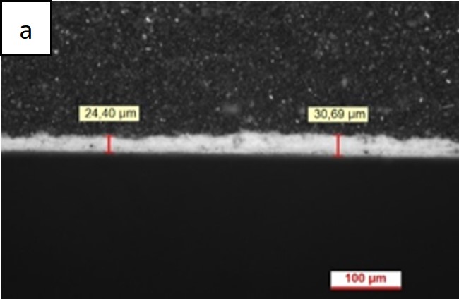 Review 950121520459 3712 Figura 2a.jpg