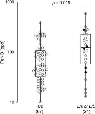 Comparison of FeNO levels before treatment between the two genotype groups. The ...