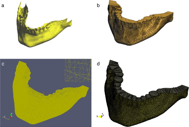 Generación de malla de una sección del hueso mandibular. (a) Iso-superficie del ...