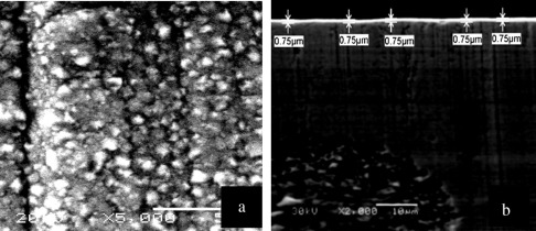 SEM of electroplated bright nickel; (a) plain image, and (b) cross section of ...