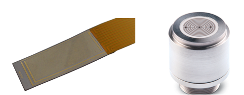 Draft Porcar 882985824-image6.png