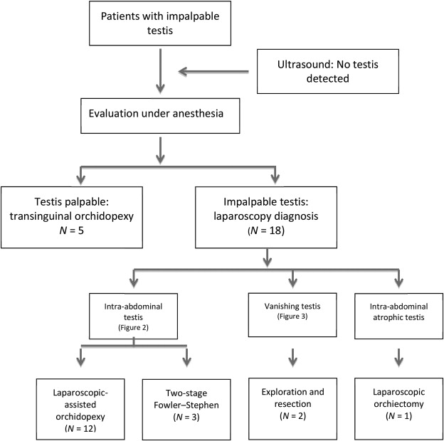 Impalpable testis management algorithm used at Universiti Kebangsaan Malaysia ...