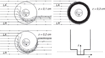 Líneas de corriente del modelo.