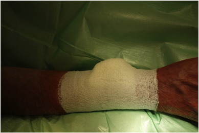 Supplementary Fig. 3