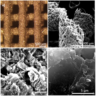 Draft Rodriguez Lagar 471625160-image5.png