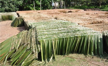Weaved nipah leaves during drying (Lee, 2014).