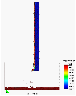 Draft Samper 357825070-Evolution melt 2.png