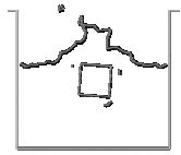 Onate et al 2004b 1216 37e.JPG