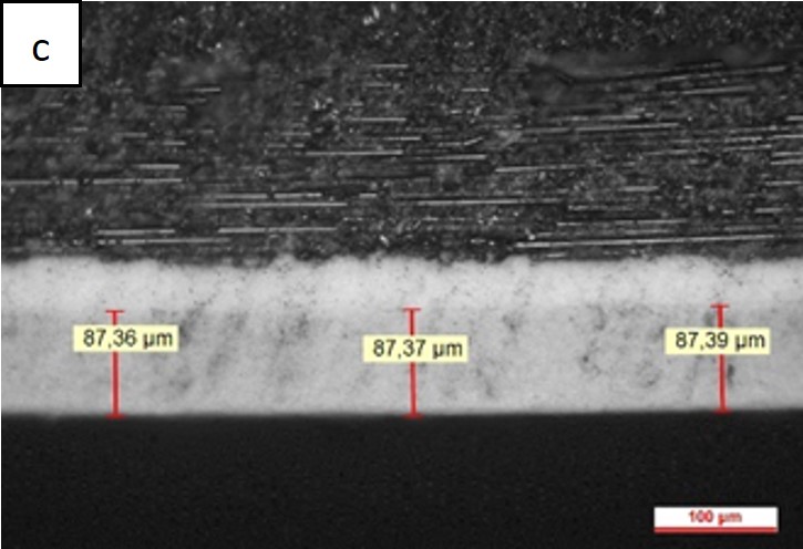 Review 950121520459 9752 Figura 5c.jpg