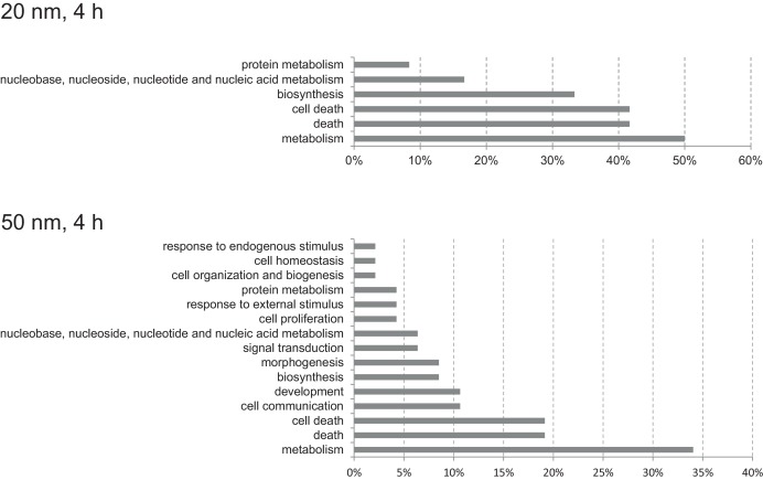 Distribution of GO terms according to GO slim for the genes identified in Caco2 ...