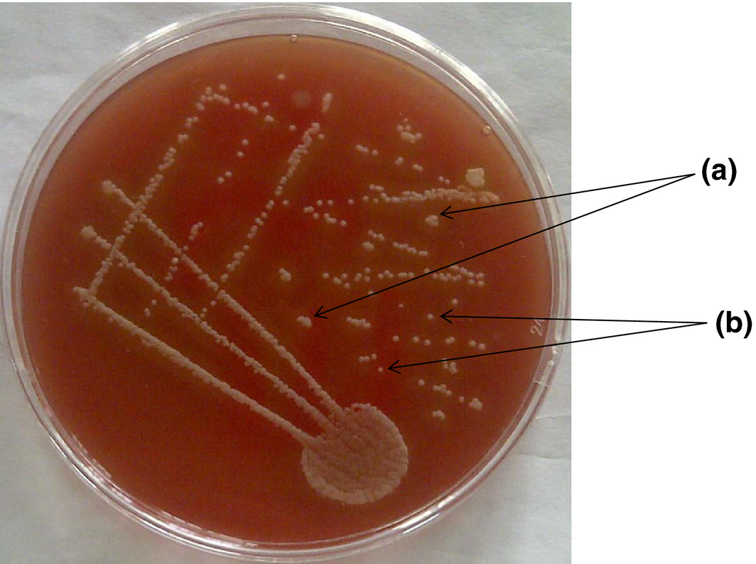 Figure 4.