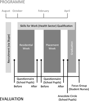 Figure 1.