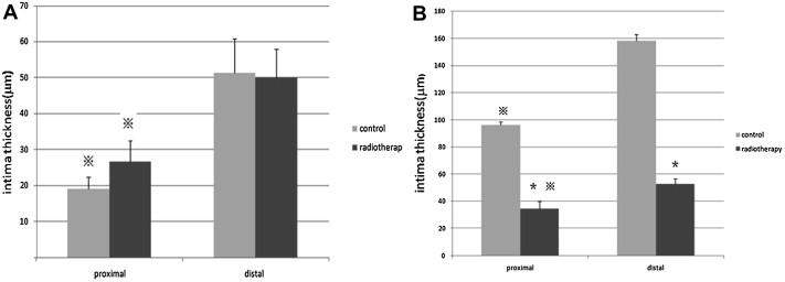(A) Intimal thickness of vessel wall (μm) 4 weeks after surgery (X¯ ± S, n = 5). ...