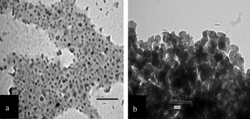 TEM photograph of black commercial paint as received: (a) before temperature ...