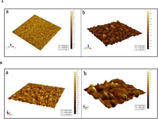 (A) Atomic Force Micrographs of (a) Hb and (b) Hb-p-BQ adduct at a molar ratio ...