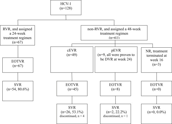 Flow diagram illustrating the treatment outcome. cEVR = complete virological ...