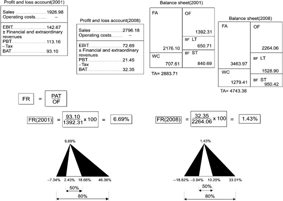 Financial return of family businesses: driving factors.
