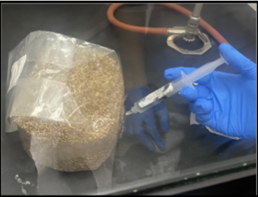 Draft Voelker 516016153 1581 Screen Shot 2023-08-01 at 4.39.28 PM.png