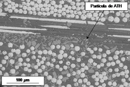 Draft Compuestos 426219447-image17.png