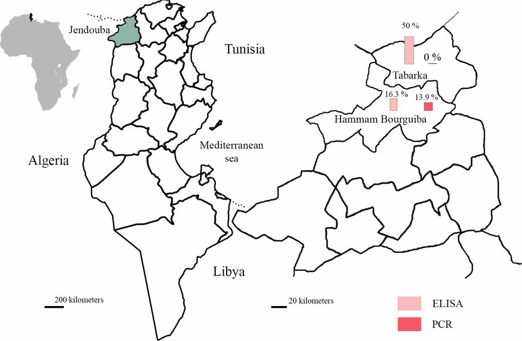 Figure 1.