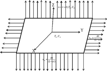 Schematic representation of physical model.