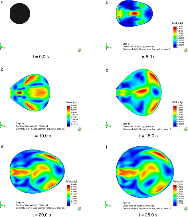 Hinchado del globo en distintos instantes de tiempo.