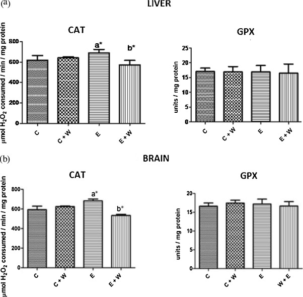 (a) Effects of watermelon juice pre-treatment on antioxidant enzyme activities ...