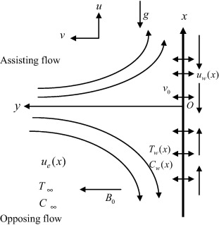 Physical model and coordinate system.