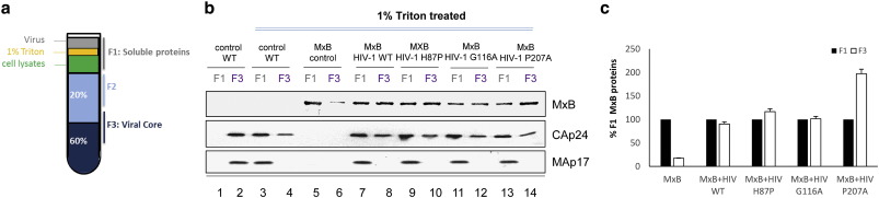 Full-size image (35 K)