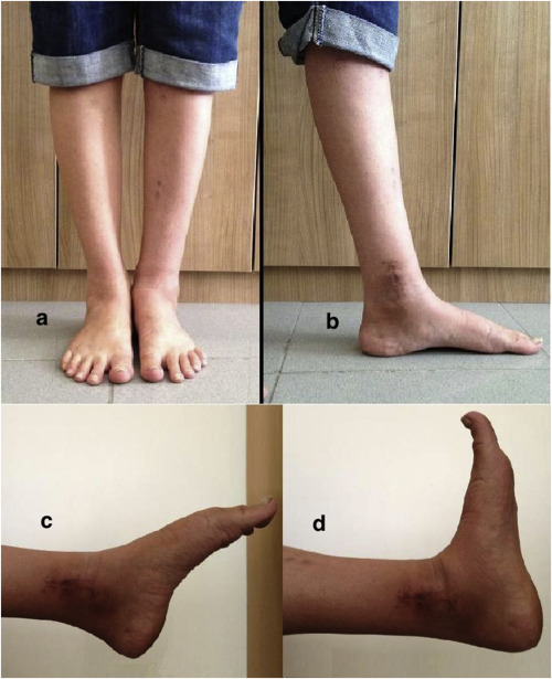 Fig. 8