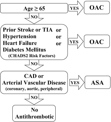 The “CCS Algorithm”.