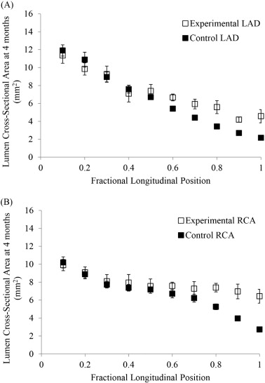 Lumen CSA at 4months from six Ossabaw (atherogenic diet) and five Yorkshire ...