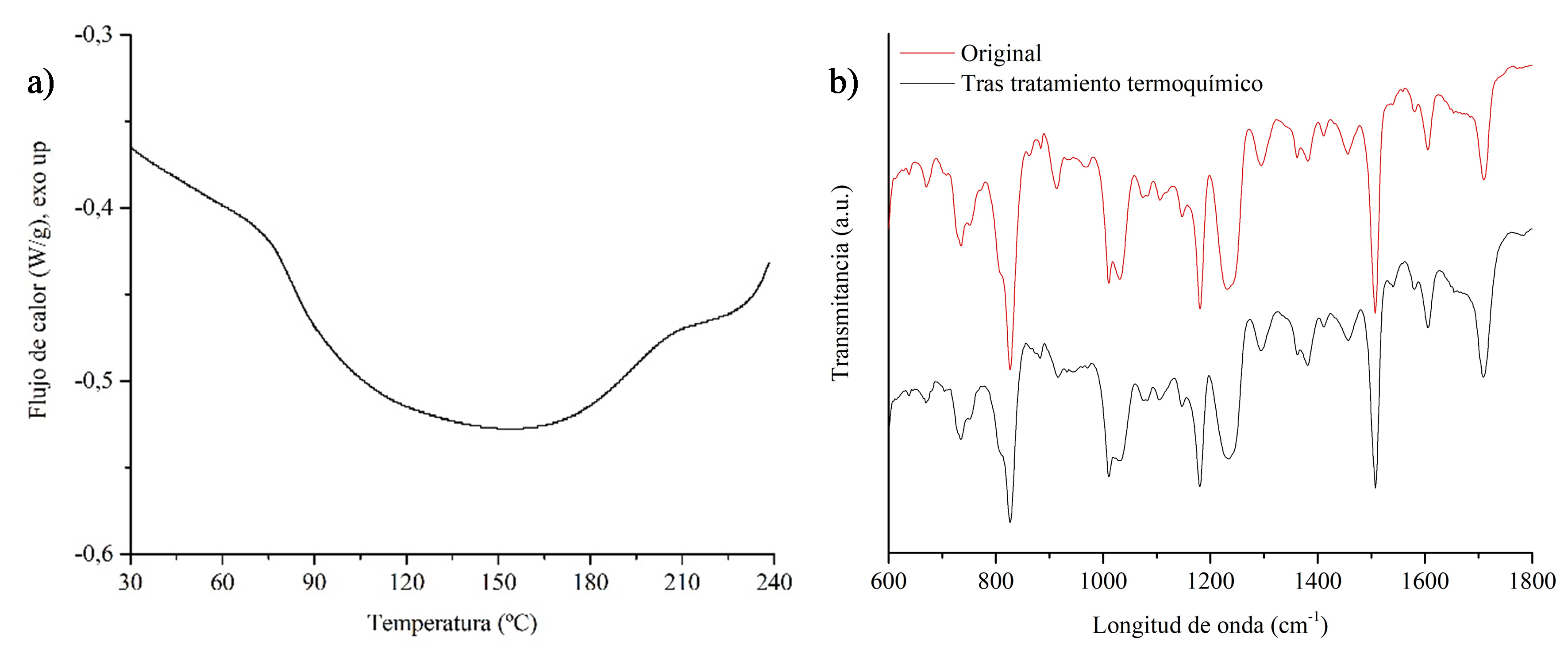 Review 542823853297 7324 Imagen2.png