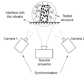 Fernandez-Lopez et al 2021a 2185 fernandez fig1.png