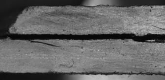Justo et al 2017a-image14.jpeg