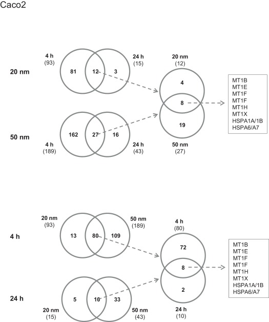 Venn diagrams showing overlap of differentially expressed genes between ...