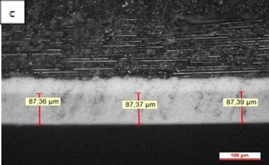 Review 950121520459 7769 Figura 5c.jpg