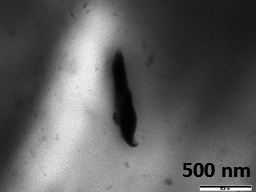 Draft Compuestos 471213673-image15-c.png