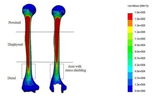 Heidari et al 2020a 7520 Figura18.png